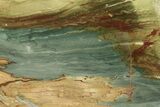 Gary Green Jasper (Larsonite) Bog Wood Slab - Oregon #263352-1